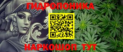 дживик Тверь