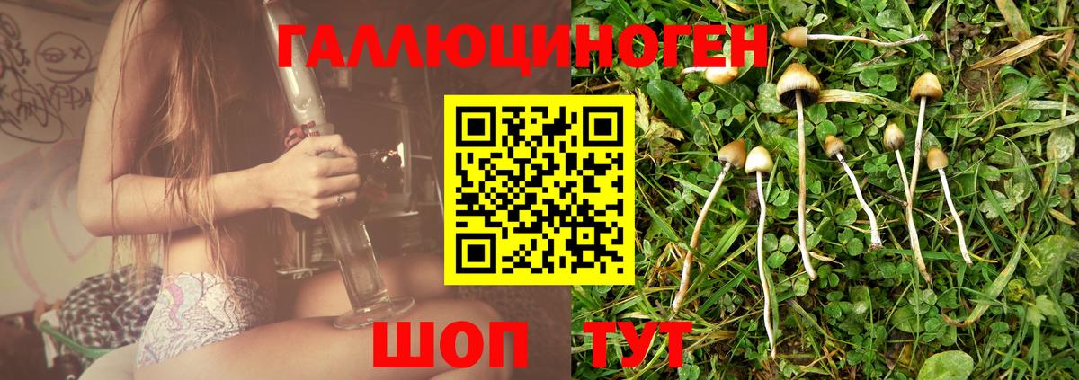 Псилоцибиновые грибы Cubensis Рассказово