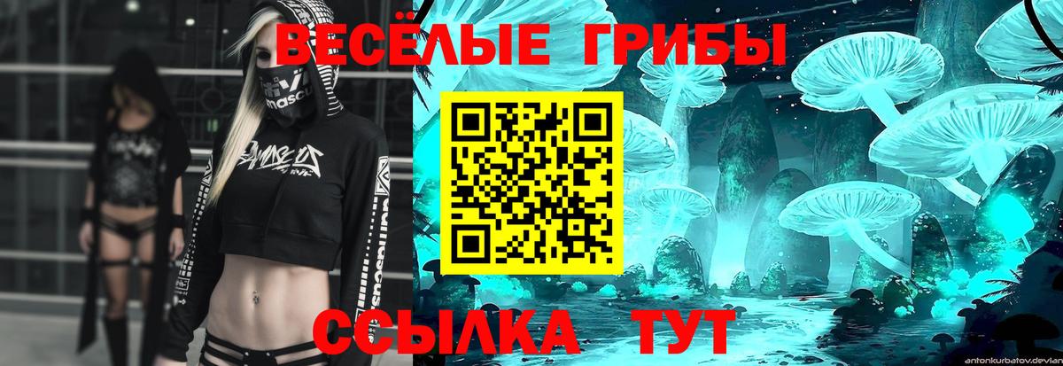 Галлюциногенные грибы Psilocybine cubensis  Псилоцибиновые грибы прущие грибы  Вход с VPN  Рассказово 